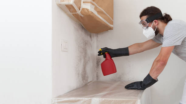Attic Mold Remediation treatment on roof deck in Hiram
