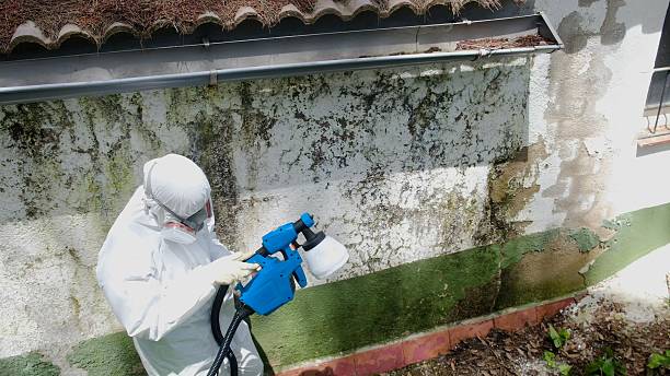 Mold Remediation service in Hiram, Hiram, GA